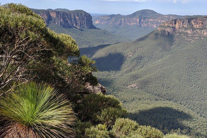 Blue Mountains Wilderness Wonder