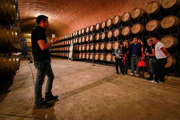 Private tour Freixenet Winery & Peña de Bernal