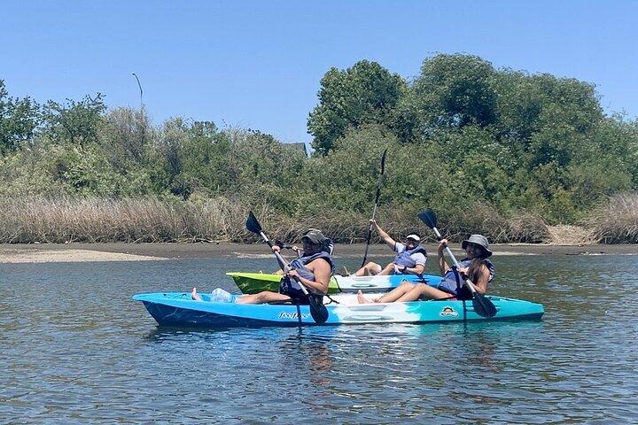 Tour en kayak por la historia del río Napa Valley: tándem para 2 personas