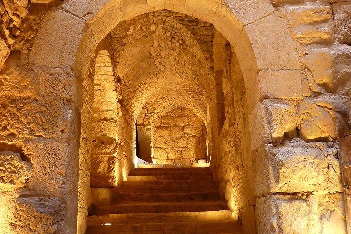 Tour privato del meglio della Giordania di 8 giorni