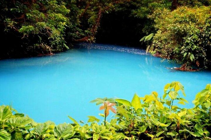 RIO CELESTE RIVER: チューブ + 熱帯雨林 + 野生動物 + 滝 + 活火山 (プライベート)