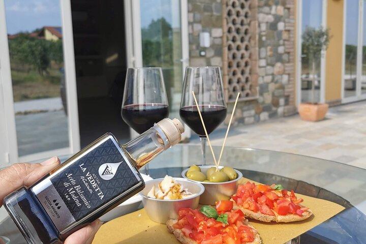 Degustación de vino y comida de 5 horas en Módena