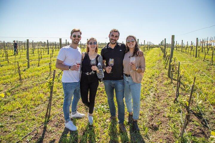 Bodega Gamboa Degustación de vinos premium con almuerzo