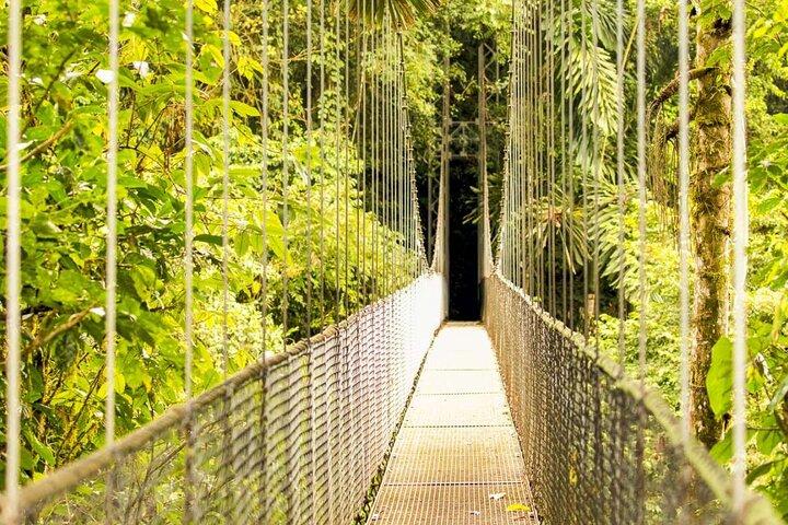 Vogelbeobachtungstour im Mistico Arenal Hanging Bridges Park von Guanacaste