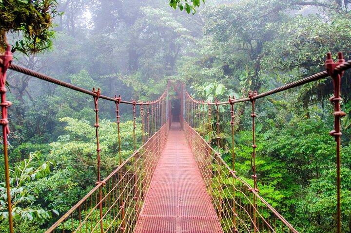Vogelbeobachtungstour im Mistico Arenal Hanging Bridges Park von Guanacaste