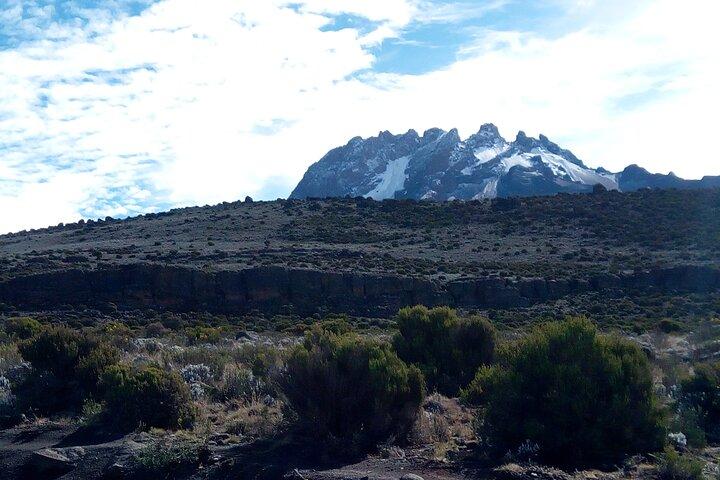 6-dages Machame rute tur fra Moshi - klatring Kilimanjaro