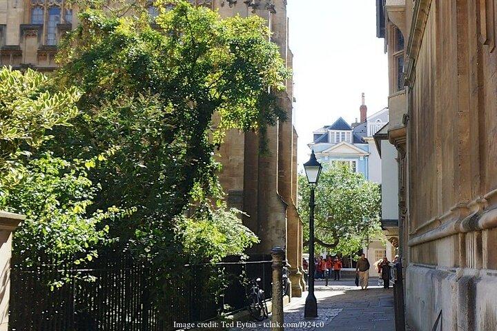 I mondi fantastici di Oxford: tour privato compresi i biglietti