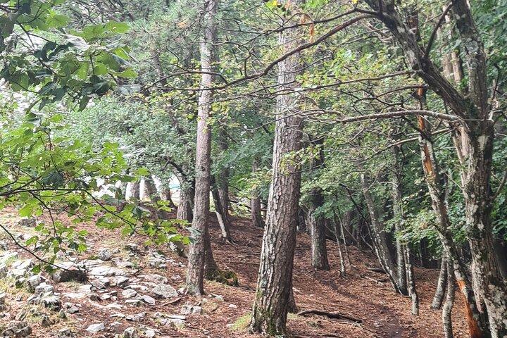 モラーレ山とファイトのハイキング - アマルフィとソレントの海岸