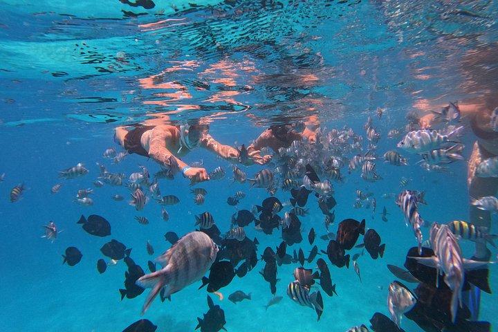 ハルガダからオレンジ湾とマガウィッシュ諸島へのスピードボートツアー