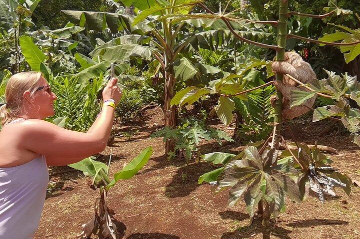 Forêt privée, vie sauvage, cascade et visite privée de chocolat