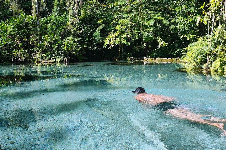 Från Khao Lak: Cheow Lan Lake & Nam Rad Emerald Pool