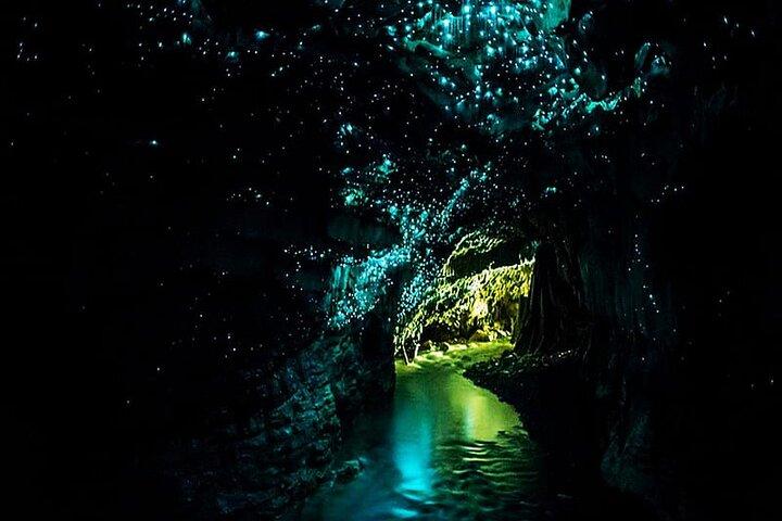 Transport privé aller-retour aux grottes de Waitomo depuis Auckland