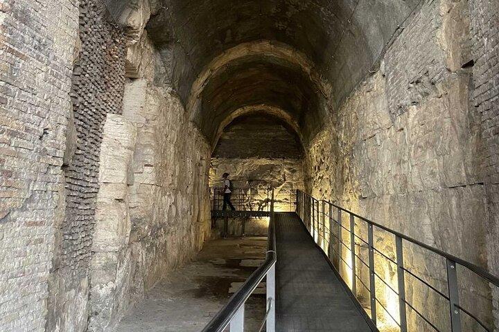 Visite souterraine du Colisée avec accès au forum romain et au mont Palatin
