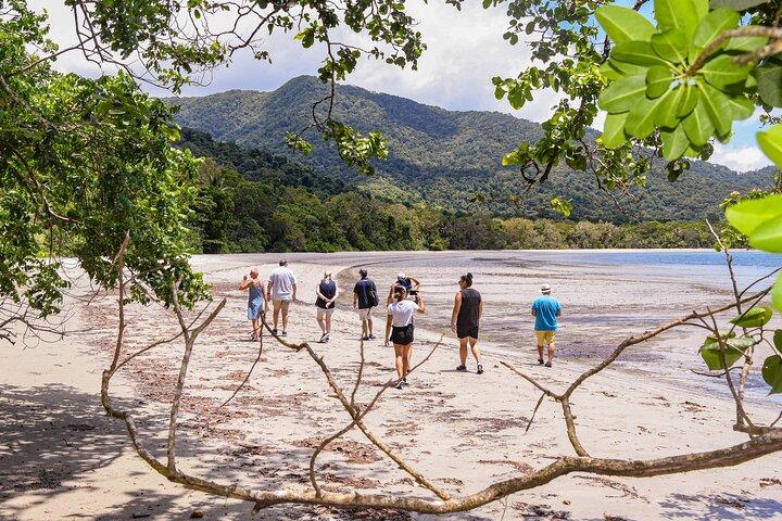Cape Tribulation & Ziplining: Ultimate Daintree