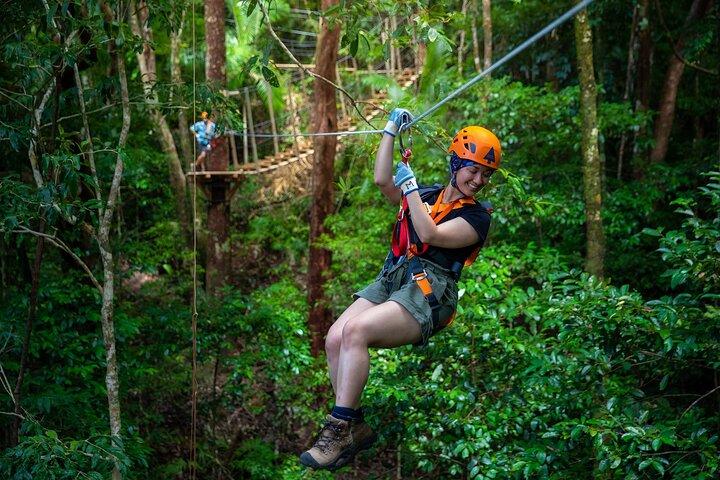 Cape Tribulation e tirolesa: Ultimate Daintree