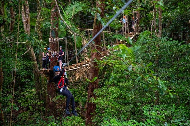 Cape Tribulation & Ziplining: Ultimate Daintree