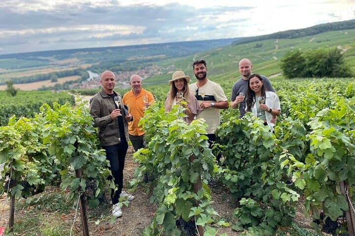 Small-Group Champagne Lunch & Tasting from Paris with Pickup