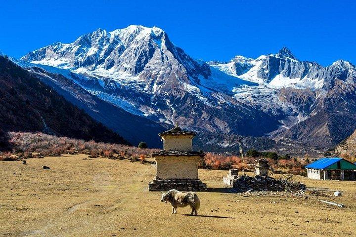 Manaslu Circuit Trek - 12 Days