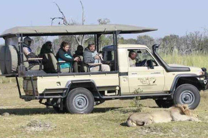Excursão diurna pela trilha do elefante Moremi