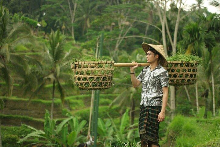 Tour privado: lo mejor de Ubud y el templo de Tanah Lot con todo incluido