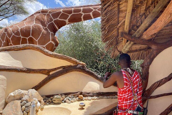 Tour privado de 7 días por el lago Manyara, el cráter del Ngorongoro y el Serengeti