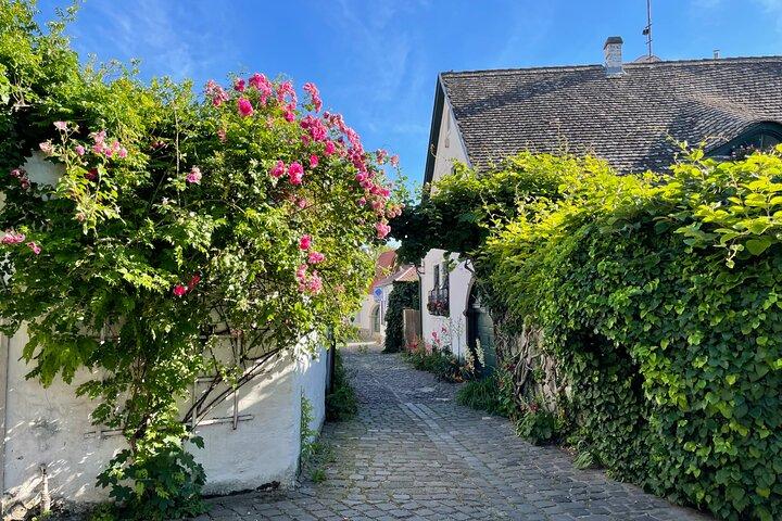 Szentendre Daytrip (konstnärsbyn) liten grupp