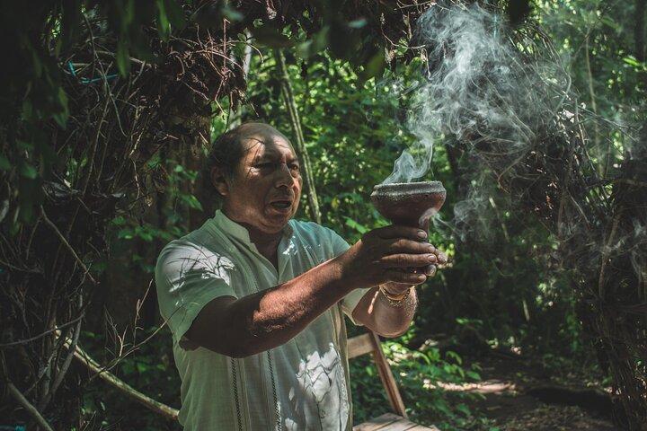 忘れられない旅：コバ、モンキー保護区、マヤのセノーテ