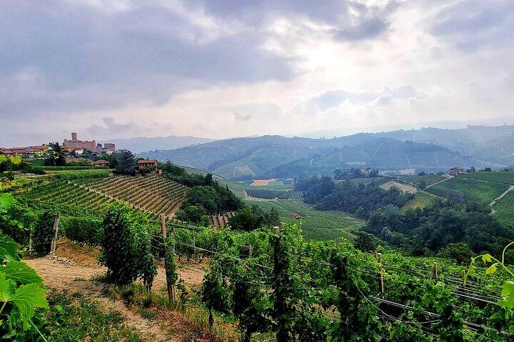 Barolo & Langhe wijnproeverij vanuit Turijn