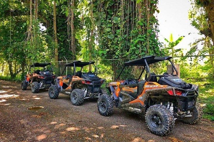 ラスタサファリ体験 ATV アドベンチャーとローカル デイ アウト
