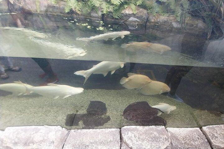 Cebu Ocean Park