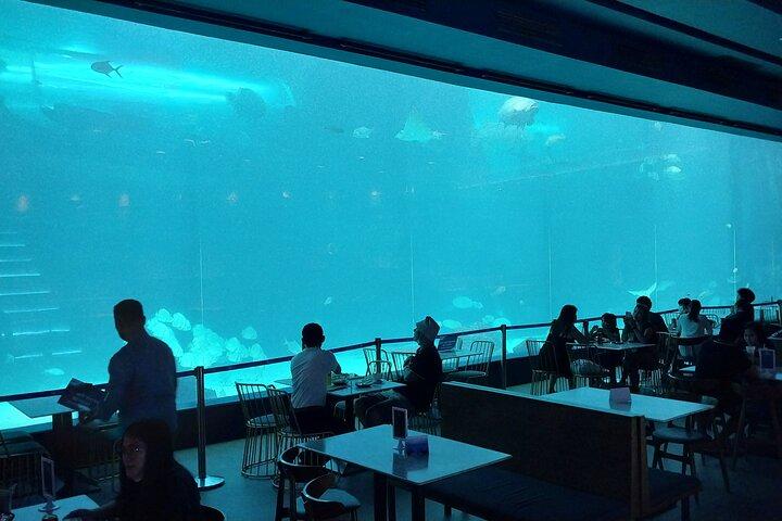 Cebu Ocean Park