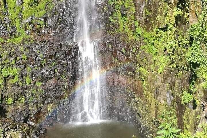 LA CASCADA DE Mbokomu y EL ÁRBOL MÁS ALTO DE ÁFRICA