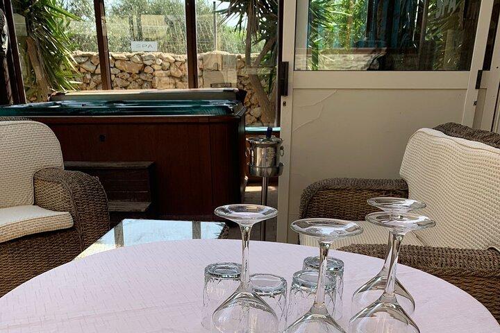 Rundtur på Malta (privat driver) Inkl. Frokostfad & vin på landet
