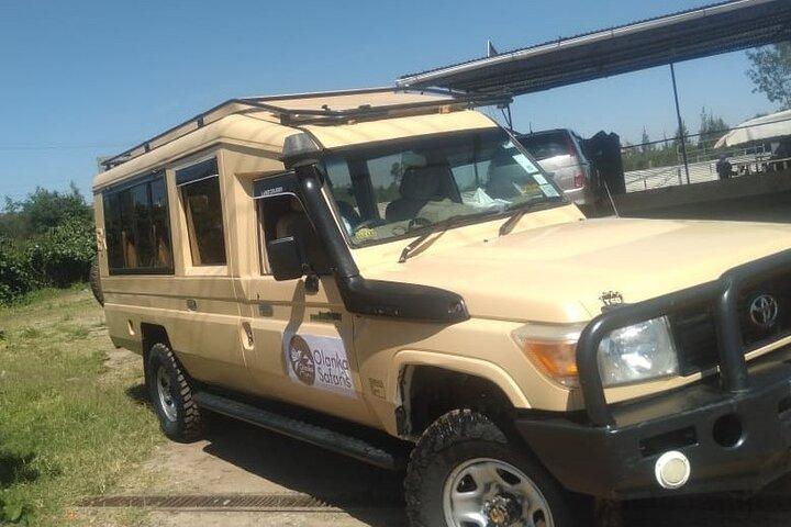 3 dage, 2 nætter Masai Mara Kenya Safari fra Nairobi