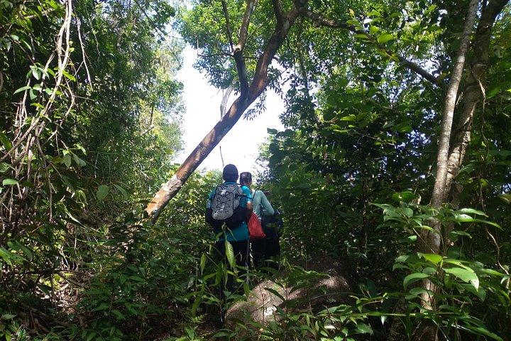 My Son sanctuary and mountain trekking