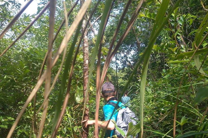 My Son sanctuary and mountain trekking