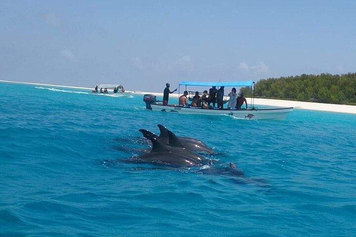 Mergulho na Ilha de Mnemba e Natação com Golfinho