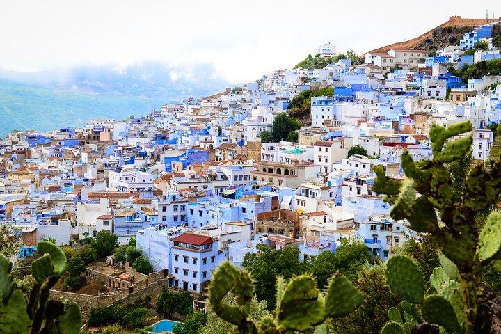 Gita di un giorno a Chefchaouen dal gruppo di Fes /Piccolo gruppo /Privato