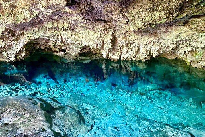 クザ洞窟ツアー、ロックレストラン、ジョザニの森、監獄島、秘密の花園