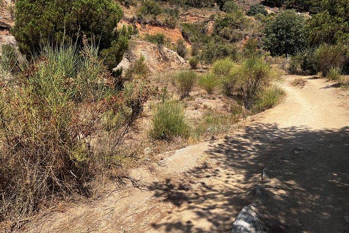 Privat Collserola Hills Wildlife-vandringstur