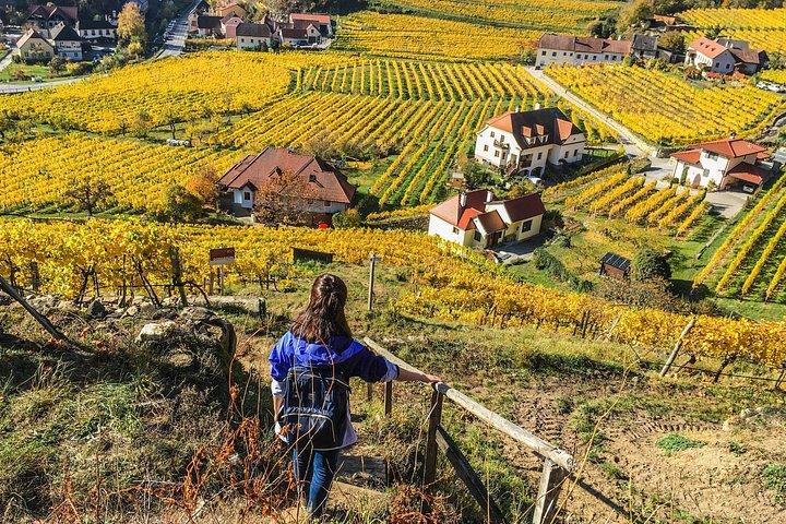 Wachau World Heritage Hike