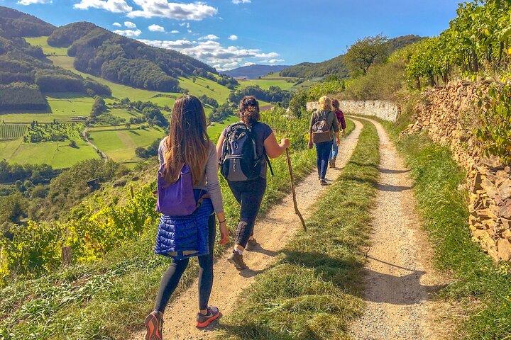 Wachau-Welterbe-Wanderung