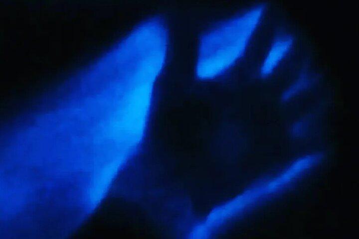 Bioluminescent natttur