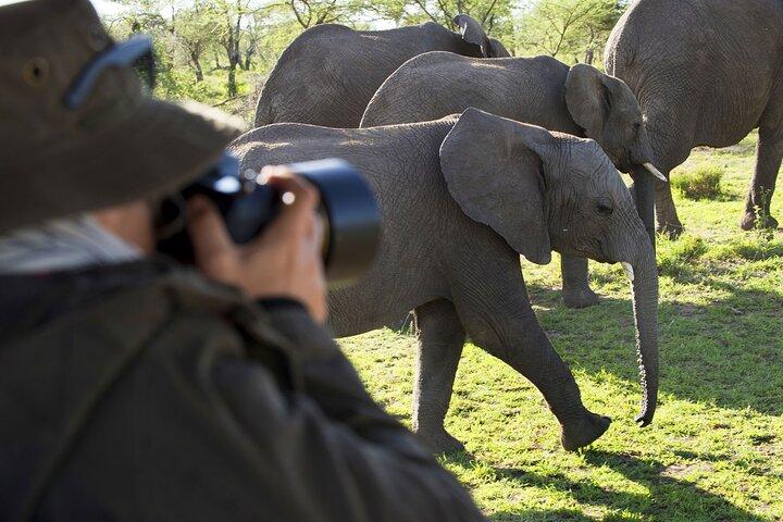 Safari por el cráter Serengeti y Ngorongoro