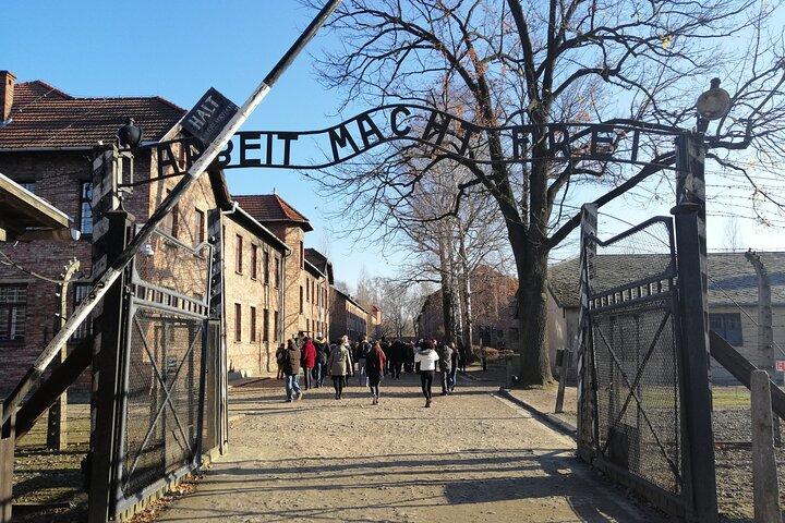 Tour di un'intera giornata da Varsavia ad Auschwitz (guidato) e Cracovia in auto