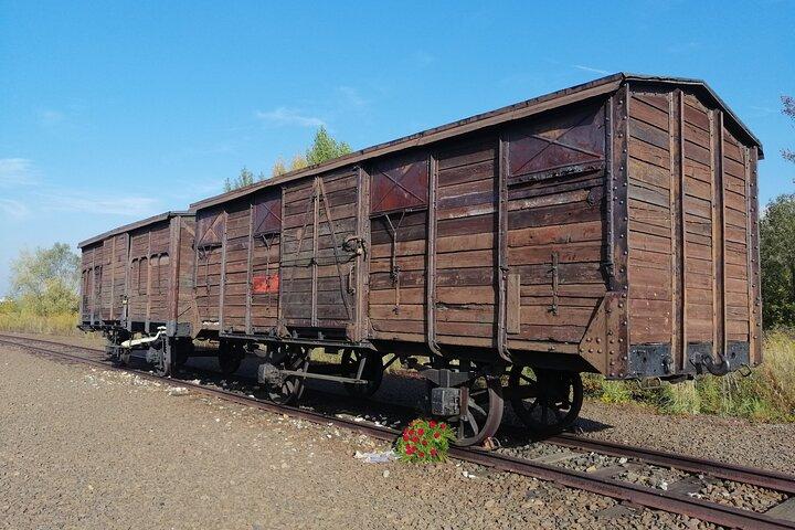 Tour di un'intera giornata da Varsavia ad Auschwitz (guidato) e Cracovia in auto