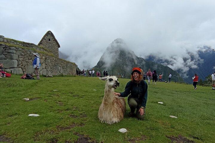 Machu Picchu Day Trip From Cusco By Panoramic Vistadome Train