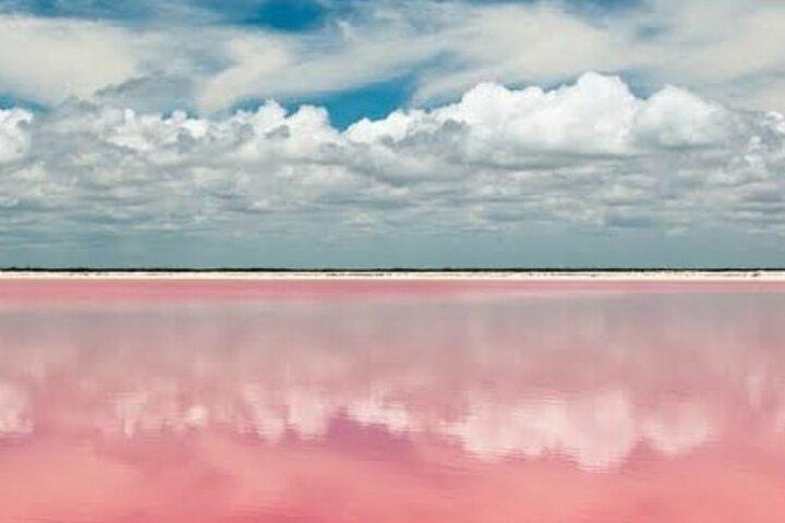 Mérida : Las Coloradas et Rio Lagartos avec bateau et déjeuner