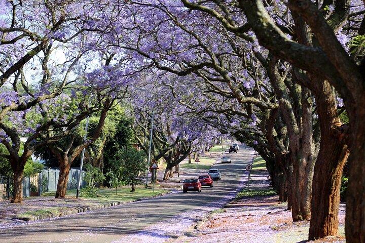 Private City Tour van een halve dag door Pretoria vanuit Johannesburg of Pretoria