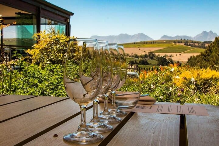 Constantia half day wine tasting tour